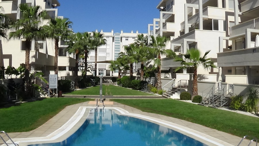 Denia Campus Denia Campus